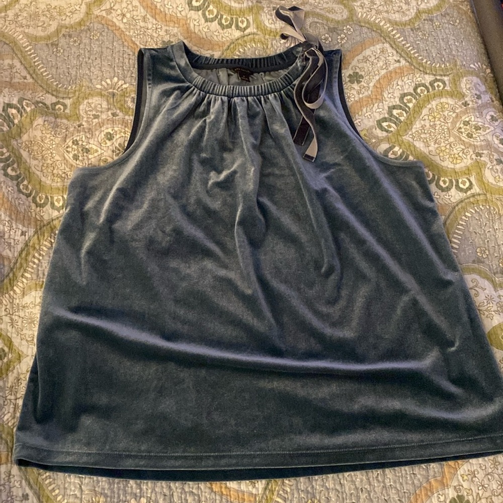 Ann Taylor Velvet Blouse